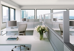 Our Office